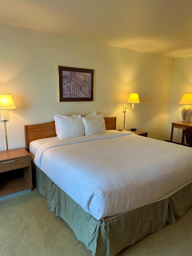 King Room - Non-Smoking interior